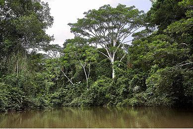 IGN日本发布《真女神转生5》前20分钟试玩视频 包含战斗、探索要素